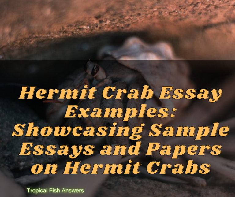 Hermit Crab Essay Examples TROPICAL FISH ANSWERS