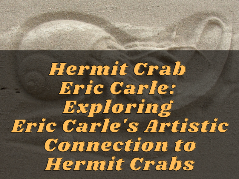 Hermit Crab Eric Carle