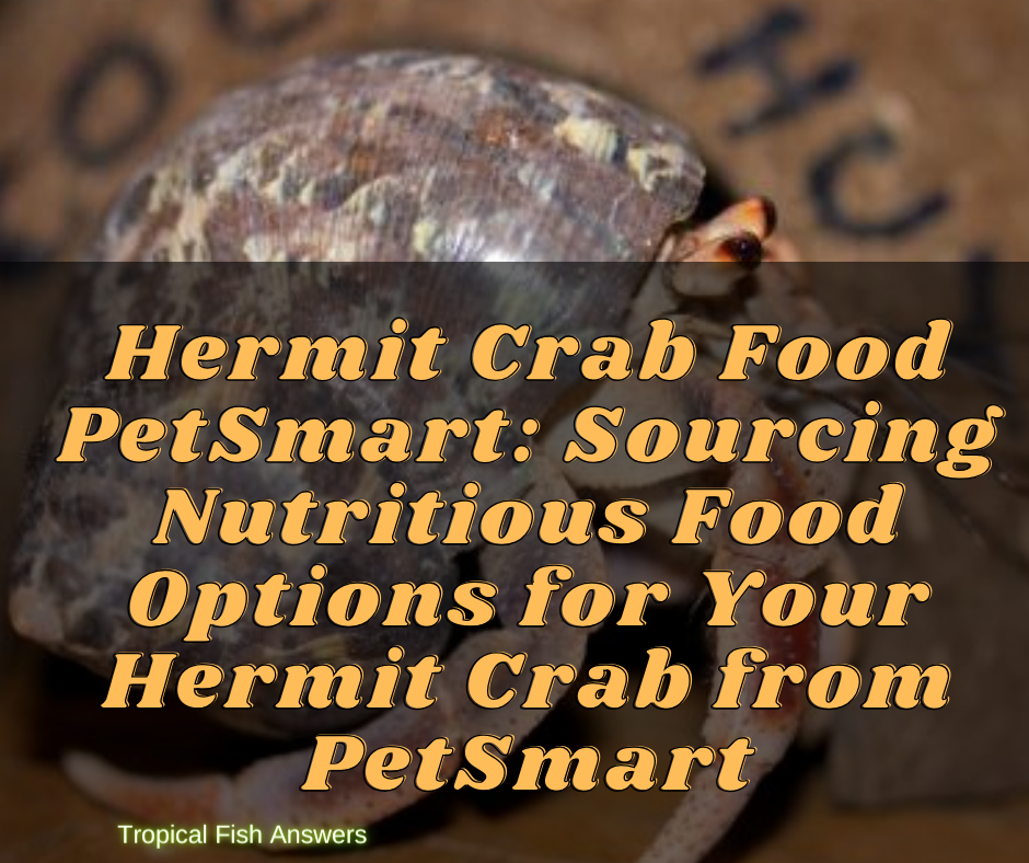 Hermit Crab Food PetSmart